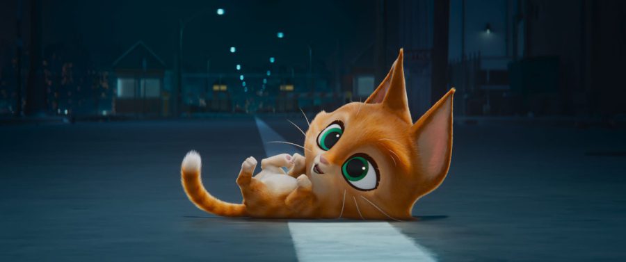 あざと可愛い市川ぼたんの“最強のヒットニャン” 特別映像が解禁!!『DC　がんばれ！スーパーペット』