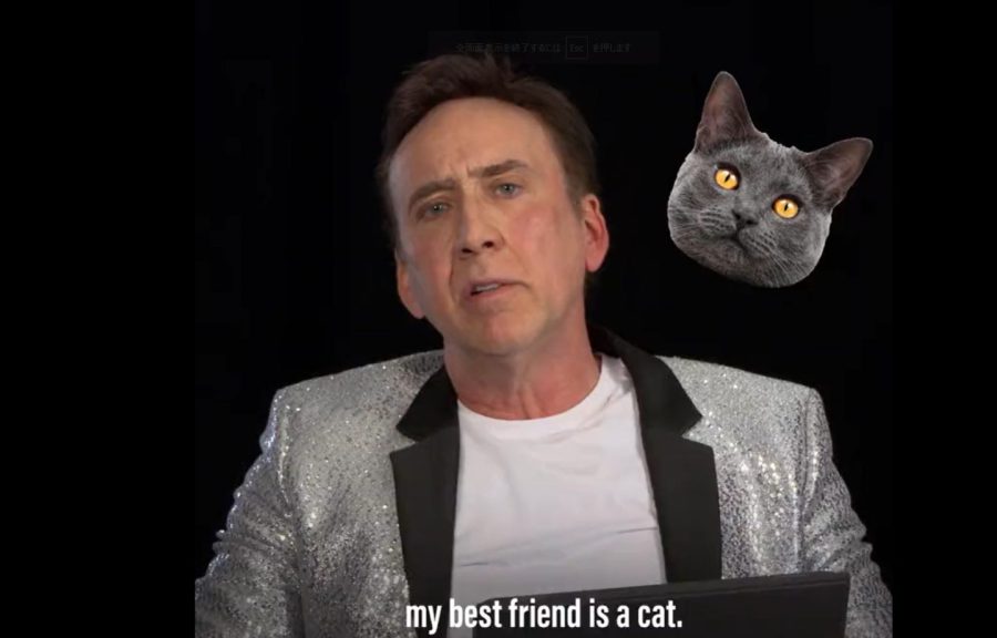 “猫好きおじさん”ニコケイが愛猫を語る！そして＜ニコケイ×猫＞をテーマにしたシュールすぎる絵画も爆誕!!