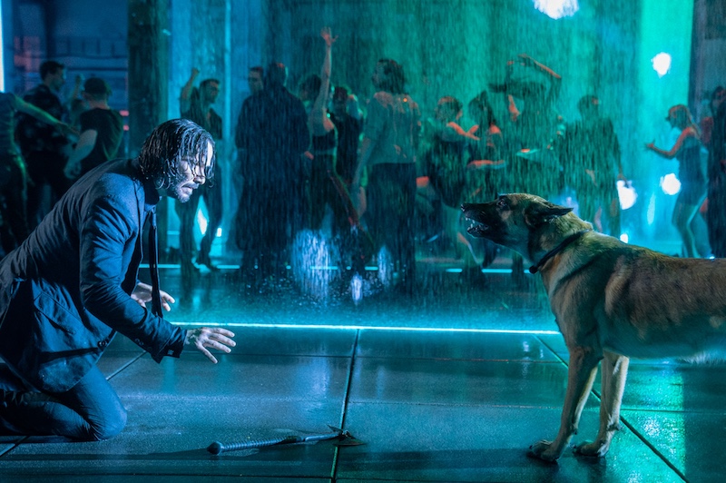 犬のためならマフィアを全滅！ 世界一犬を愛する暗殺者「ジョン・ウィック」 シリーズファン＆愛犬家の魂を揺さぶる特別動画