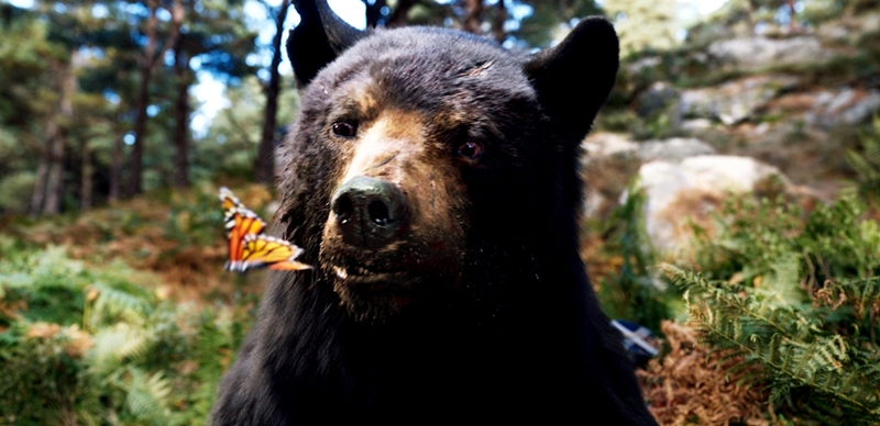 クマが粉食ってラリパッパ(実話)！ 容赦ない残酷描写に思わず笑顔『コカイン・ベア』は映画史に爪痕を残すアニマルパニック