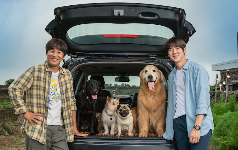 人生崖っぷちの兄弟が、愛犬の里親探しの旅に出た！「賢い医師生活」ユ・ヨンソク×「猟奇的な彼女」チャ・テヒョン共演『マイ・ハート・パピー』