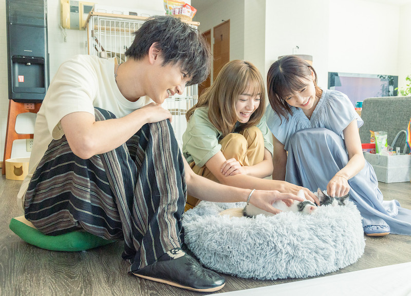 迷える“オトナ3人”と愛おしい猫の共同生活物語　安達祐実×倉科カナ×渡邊圭祐主演『三日月とネコ』