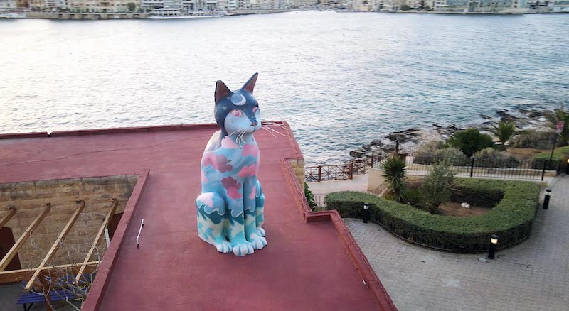 世界屈指の“猫島”マルタ共和国の巨大な猫像「アタス」修復の様子が明らかに『ねこしま』本編シーン